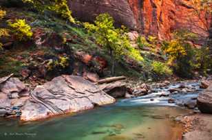 Zion Canyon, Fall-4528